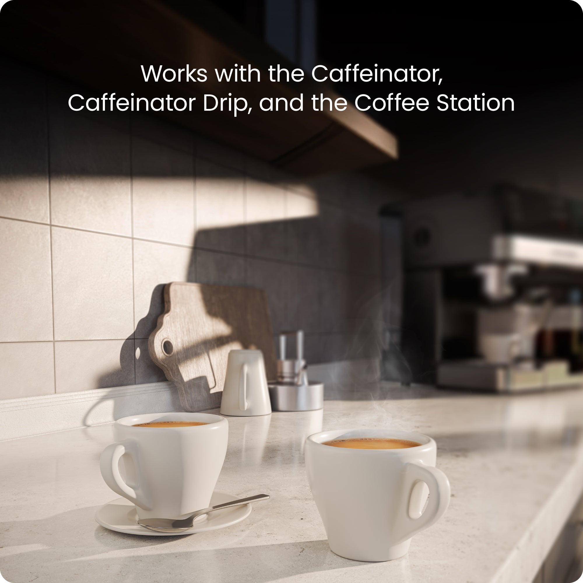 Caffeinator Replacement Filters