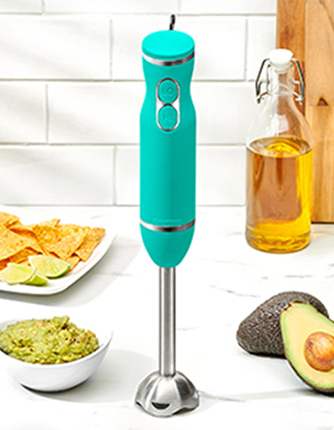 Immersion Hand Blender