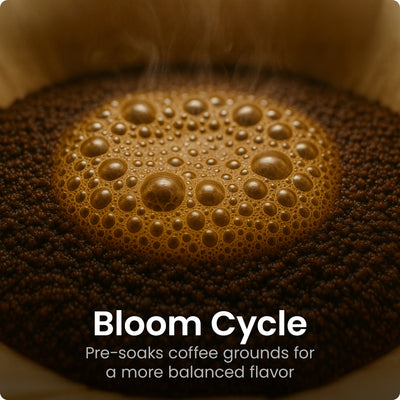 Caffeinator® 14-Cup Programmable Coffee Maker - Concrete