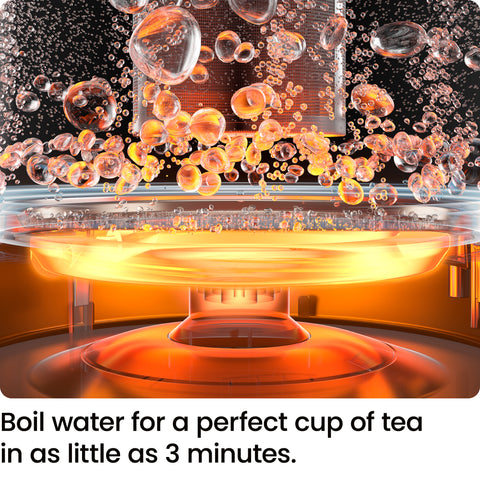 Fast-Boil 1L Tea Infuser Kettle