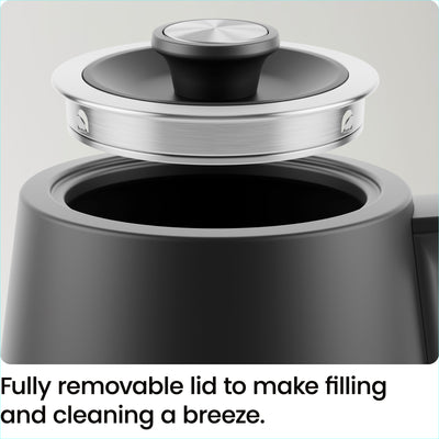 0.8L Electric Gooseneck Kettle