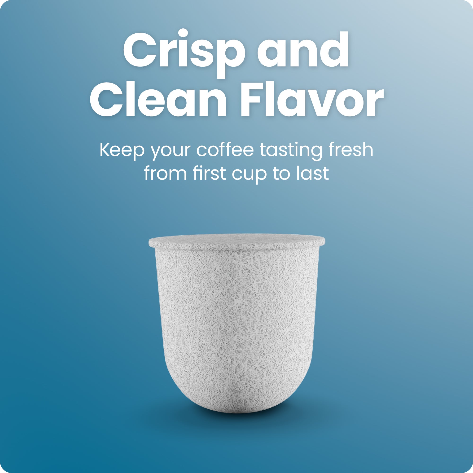 Filtro de repuesto Caffeinator - Paquete de 12