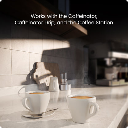 Filtro de repuesto Caffeinator - Paquete de 12