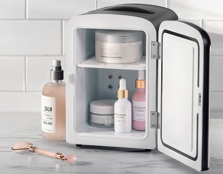 Portable Personable Fridge