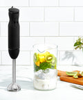 Immersion Hand Blender