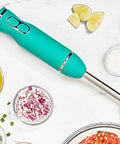 Immersion Hand Blender